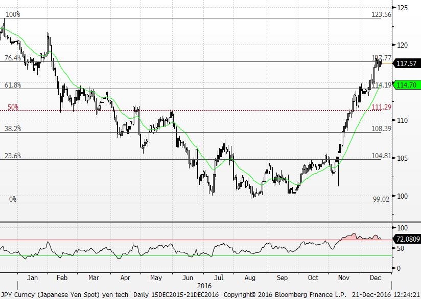 USD / JPY Soluklanma görülebilir USD / JPY Teknik Analizi Son bir aylık dönemde sert yükselen ve bir süredir aşırı alım bölgesinde seyreden USD/JPY paritesinin önümüzdeki günlerde 117.