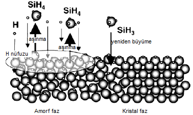 Şekil 2.9. Mikrokristal silisyum büyüme modellerinden yüzey difüzyon modeli (Matsuda, 2004). ii.