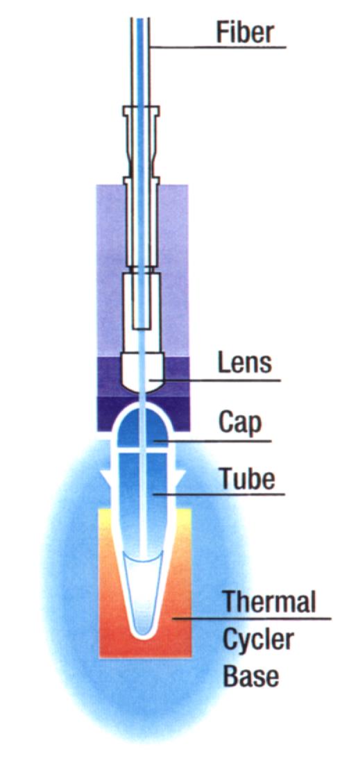 Real-Time PCR Tüp