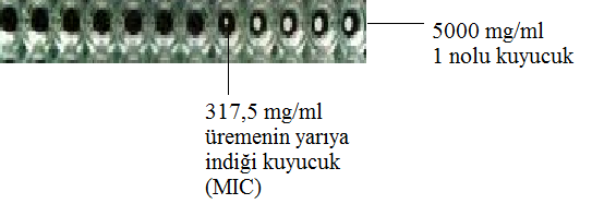 47 3. MATERYAL VE METOT Sigara içen ve içmeyen öğrenciler arasında normal ağız florasında bulunan Candida albicans ların antifungal duyarlılıklarını tespit etmek amacı ile bu öğrencilerden üretilen