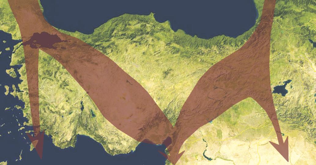 Şekil 2: Batı Palearktik bölgedeki ana göç yolları Sonbaharda Kuzeybatıda İstanbul boğazından ve Kuzey-doğuda Artvin-Borçka daki darboğazlardan geçen 200-400 bin süzülerek göç eden kuş, kışlama