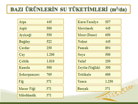 İL/İLÇELER  