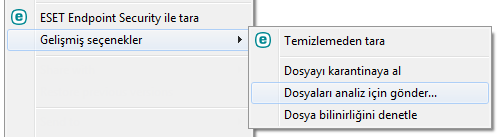 Gelişmiş ayarlar - Gelişmiş ayarlar ağacına girmek için bu seçeneği belirleyin. Ayrıca F5 tuşuna basarak veya Ayarlar > Gelişmiş ayarlar öğesine giderek Gelişmiş ayarlara erişebilirsiniz.