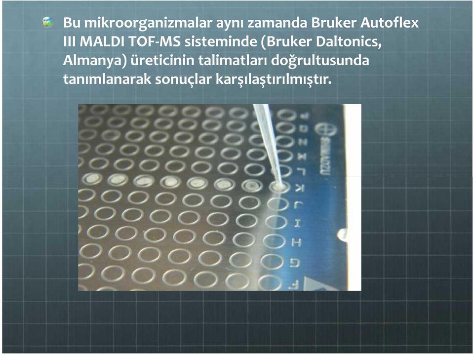 (Bruker Daltonics, Almanya) üreticinin