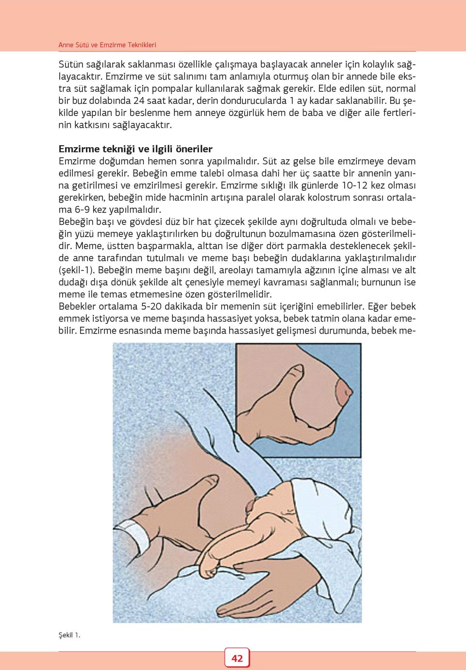 Elde edilen süt, normal bir buz dolabında 24 saat kadar, derin dondurucularda 1 ay kadar saklanabilir.