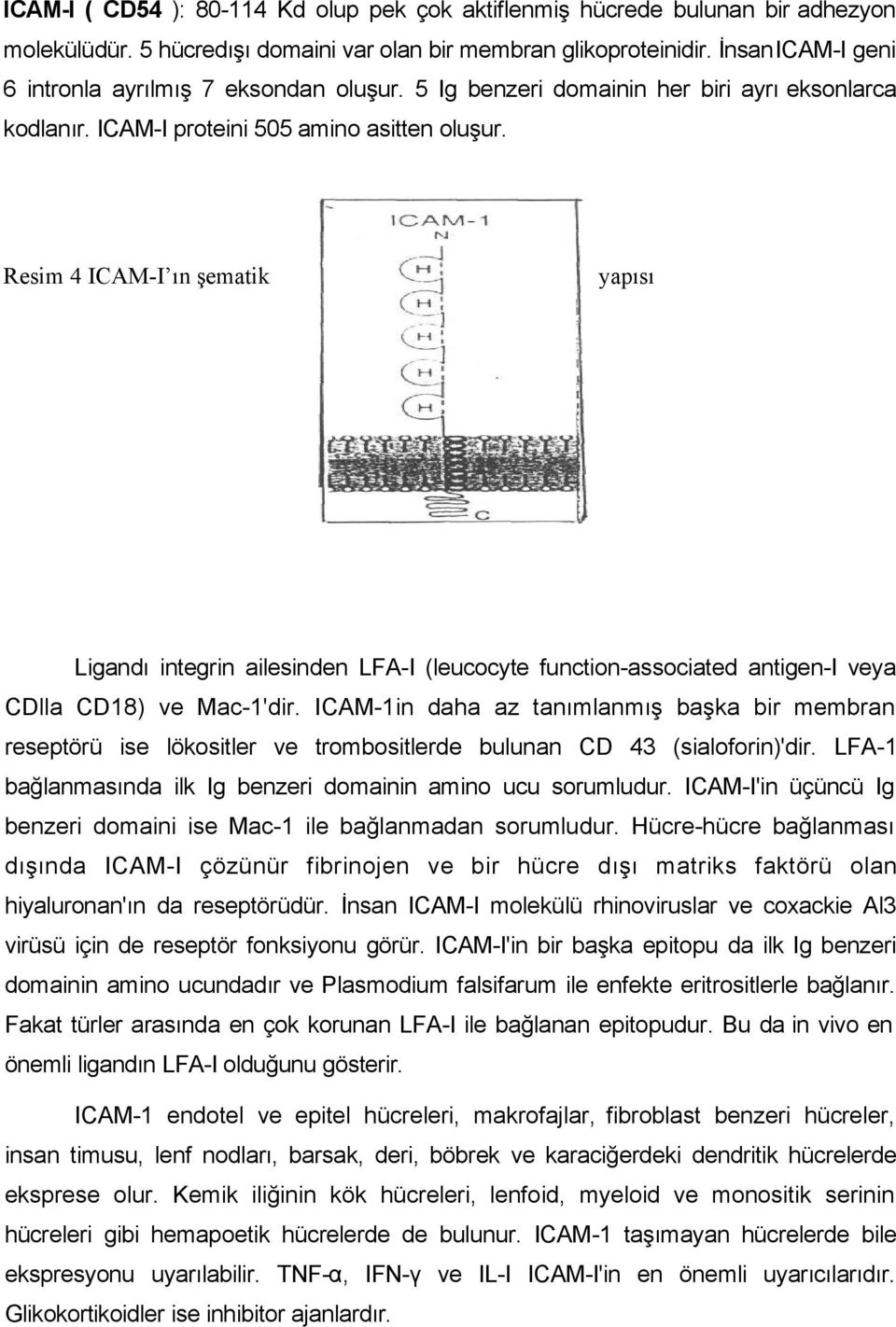Resim 4 ICAM-I ın şematik yapısı Ligandı integrin ailesinden LFA-I (leucocyte function-associated antigen-i veya CDlla CD18) ve Mac-1'dir.