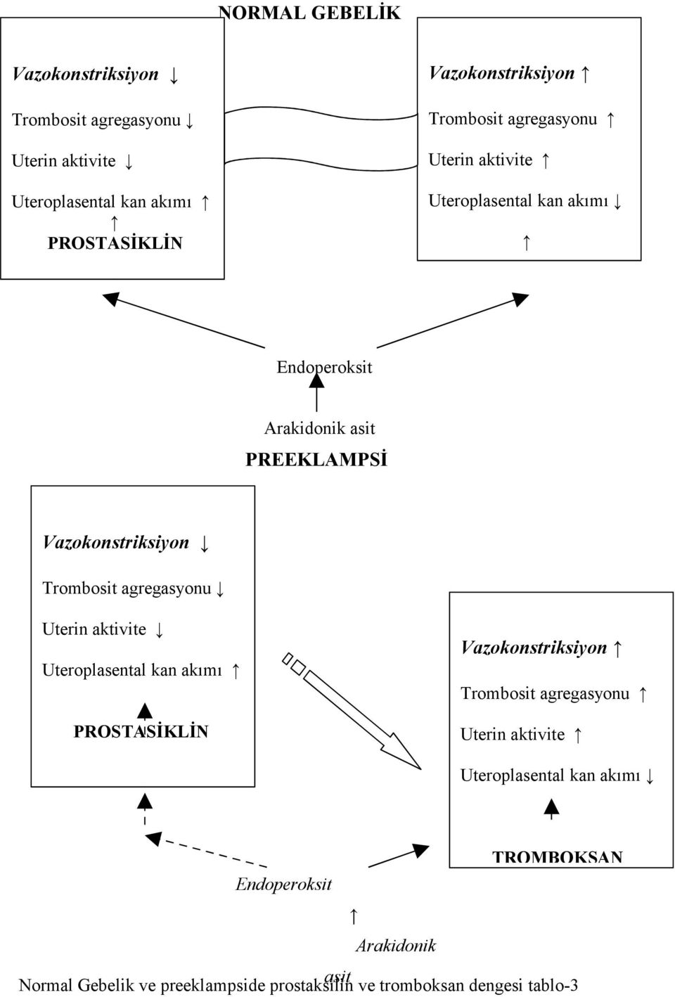 Trombosit agregasyonu Uterin aktivite Uteroplasental kan akımı PROSTASİKLİN Vazokonstriksiyon Trombosit agregasyonu Uterin aktivite