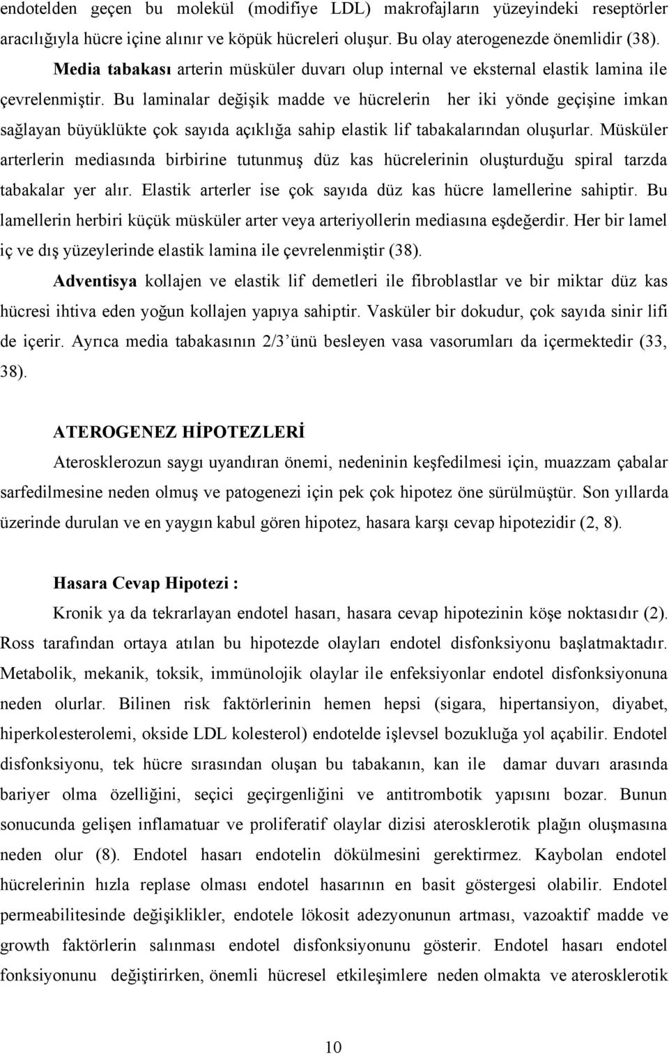 Bu laminalar değişik madde ve hücrelerin her iki yönde geçişine imkan sağlayan büyüklükte çok sayıda açıklığa sahip elastik lif tabakalarından oluşurlar.