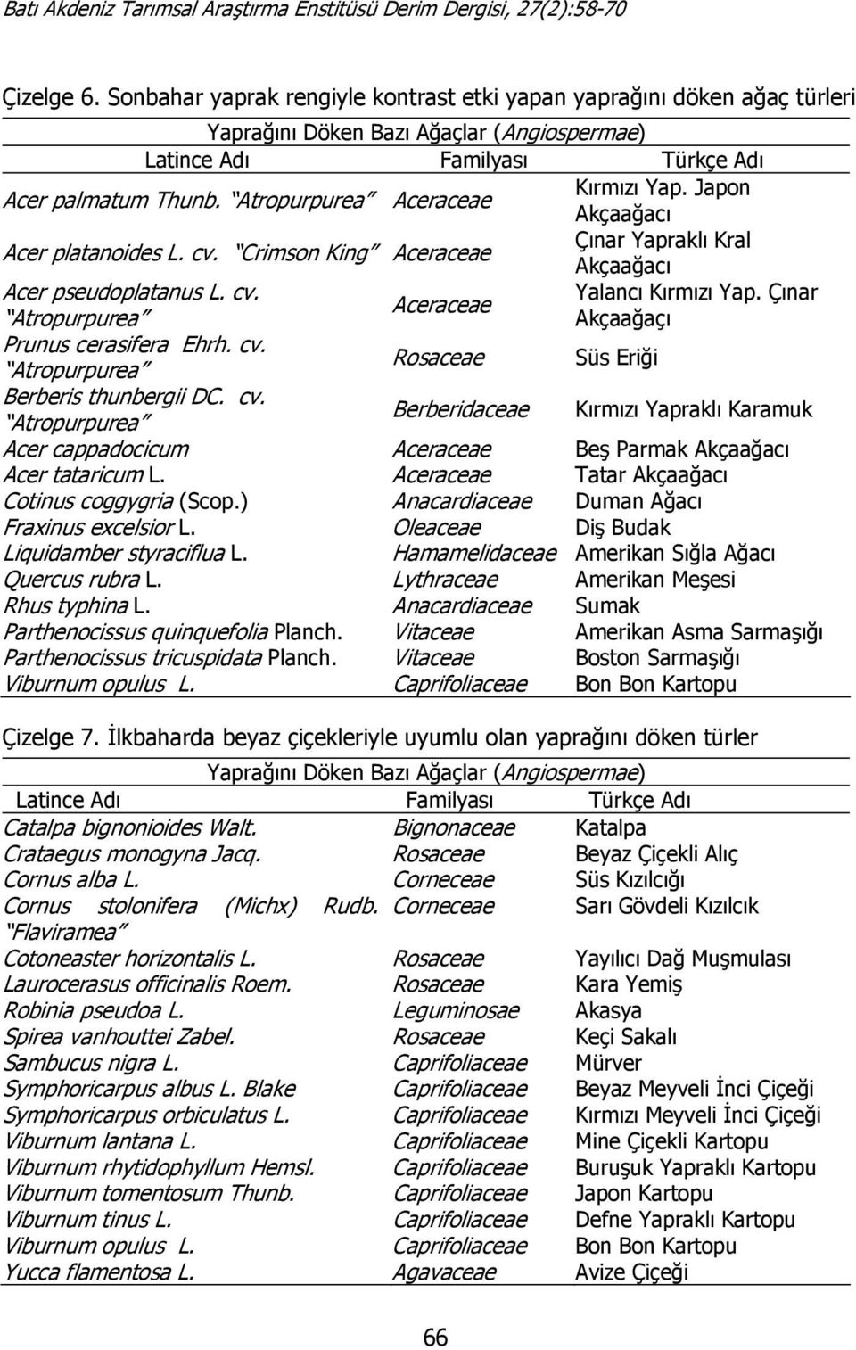 Çınar Aceraceae Atropurpurea Akçaağaçı Prunus cerasifera Ehrh. cv. Atropurpurea Rosaceae Süs Eriği Berberis thunbergii DC. cv. Atropurpurea Berberidaceae Kırmızı Yapraklı Karamuk Acer cappadocicum Aceraceae Beş Parmak Akçaağacı Acer tataricum L.