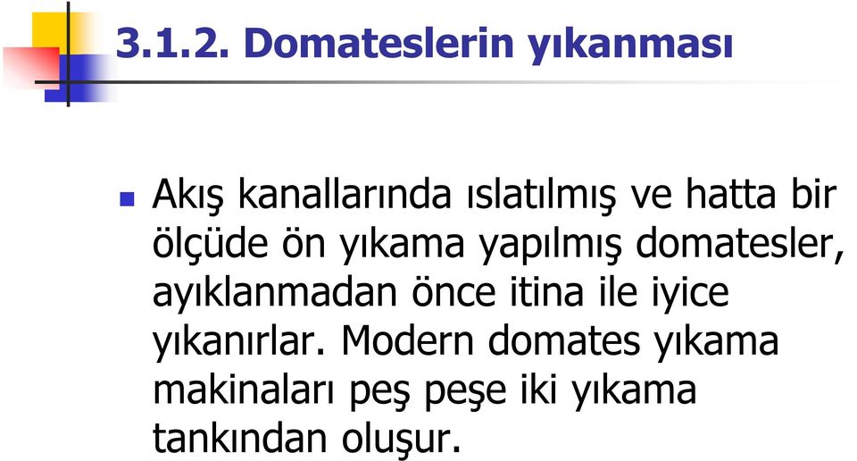 hatta bir ölçüde ön yıkama yapılmış domatesler,