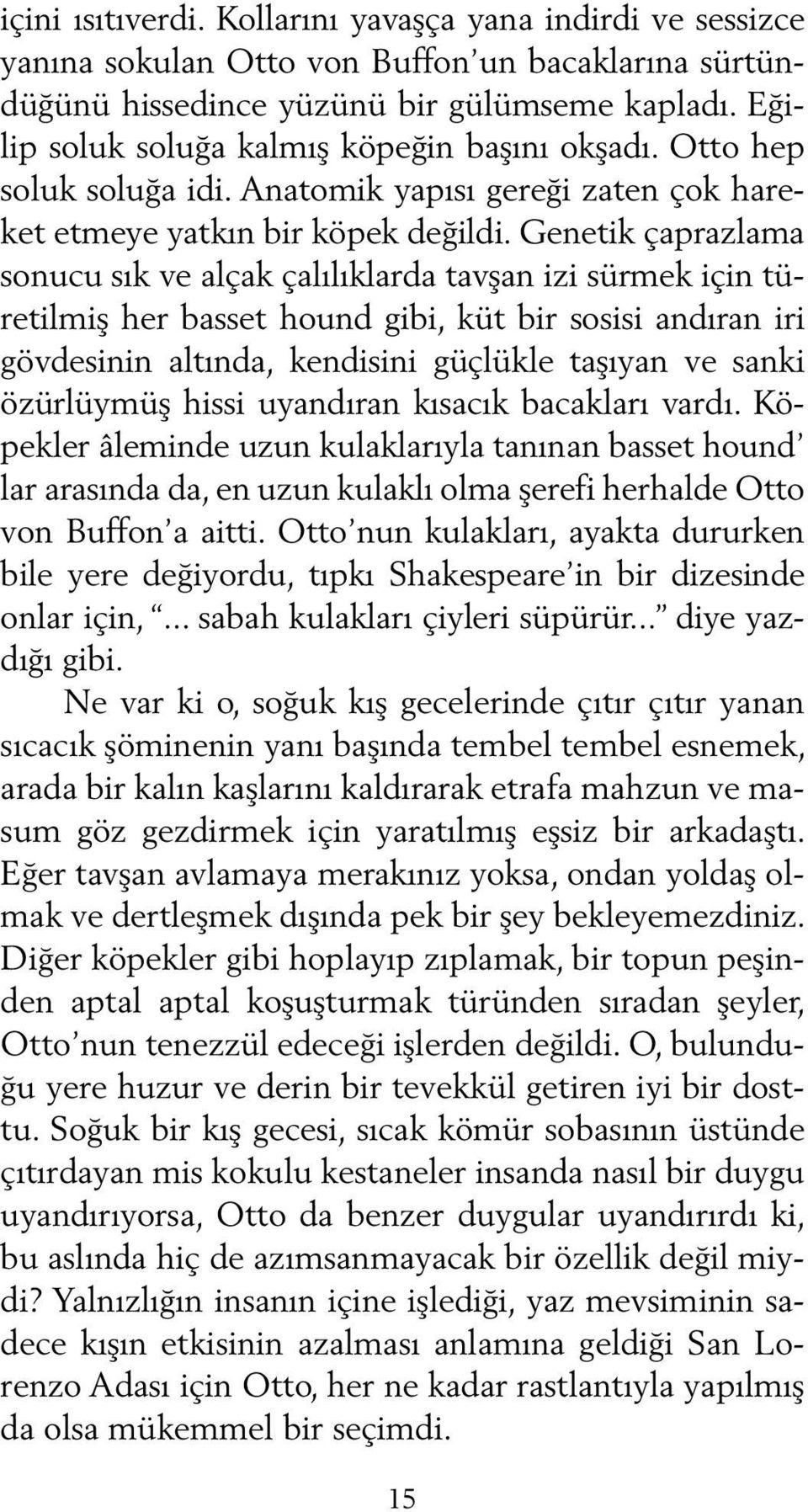 Genetik çaprazlama sonucu sık ve alçak çalılıklarda tavşan izi sürmek için türetilmiş her basset hound gibi, küt bir sosisi andıran iri gövdesinin altında, kendisini güçlükle taşıyan ve sanki