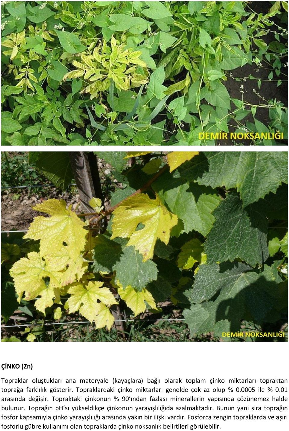 Topraktaki çinkonun % 90 ından fazlası minerallerin yapısında çözünemez halde bulunur.