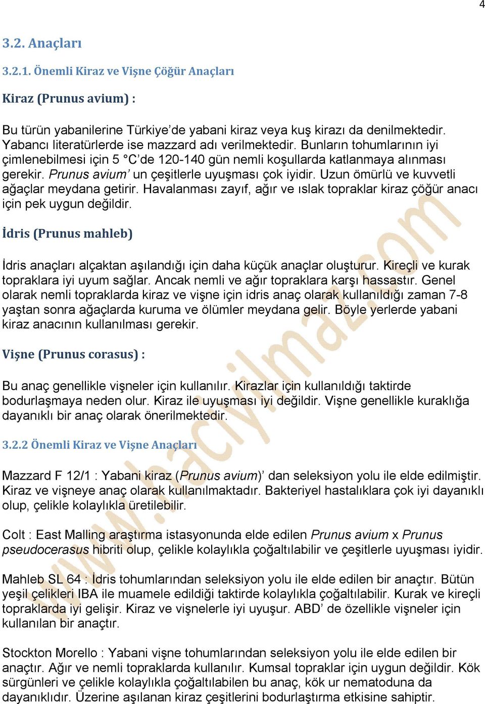 Prunus avium un çeşitlerle uyuşması çok iyidir. Uzun ömürlü ve kuvvetli ağaçlar meydana getirir. Havalanması zayıf, ağır ve ıslak topraklar kiraz çöğür anacı için pek uygun değildir.