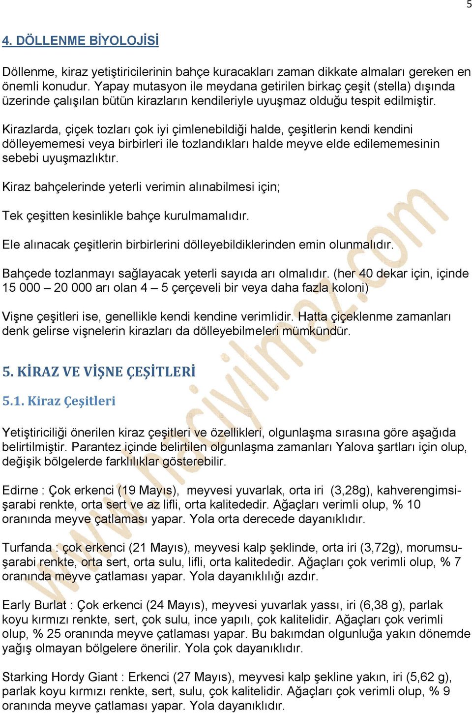 Kirazlarda, çiçek tozları çok iyi çimlenebildiği halde, çeşitlerin kendi kendini dölleyememesi veya birbirleri ile tozlandıkları halde meyve elde edilememesinin sebebi uyuşmazlıktır.