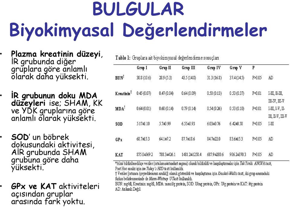 İR grubunun doku MDA düzeyleri ise; SHAM, KK ve YDK gruplarına göre anlamlı olarak yüksekti.