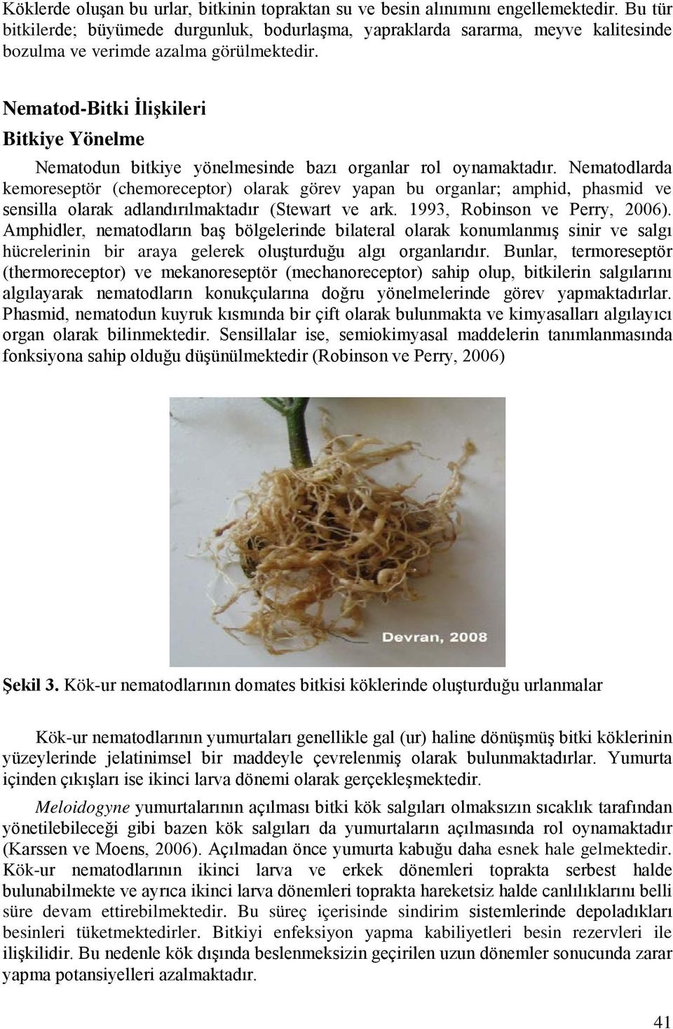Nematod-Bitki İlişkileri Bitkiye Yönelme Nematodun bitkiye yönelmesinde bazı organlar rol oynamaktadır.