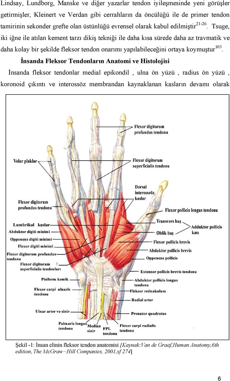 Tsuge, iki iğne ile atılan kement tarzı dikiş tekniği ile daha kısa sürede daha az travmatik ve daha kolay bir şekilde fleksor tendon onarımı yapılabileceğini ortaya koymuştur 103.