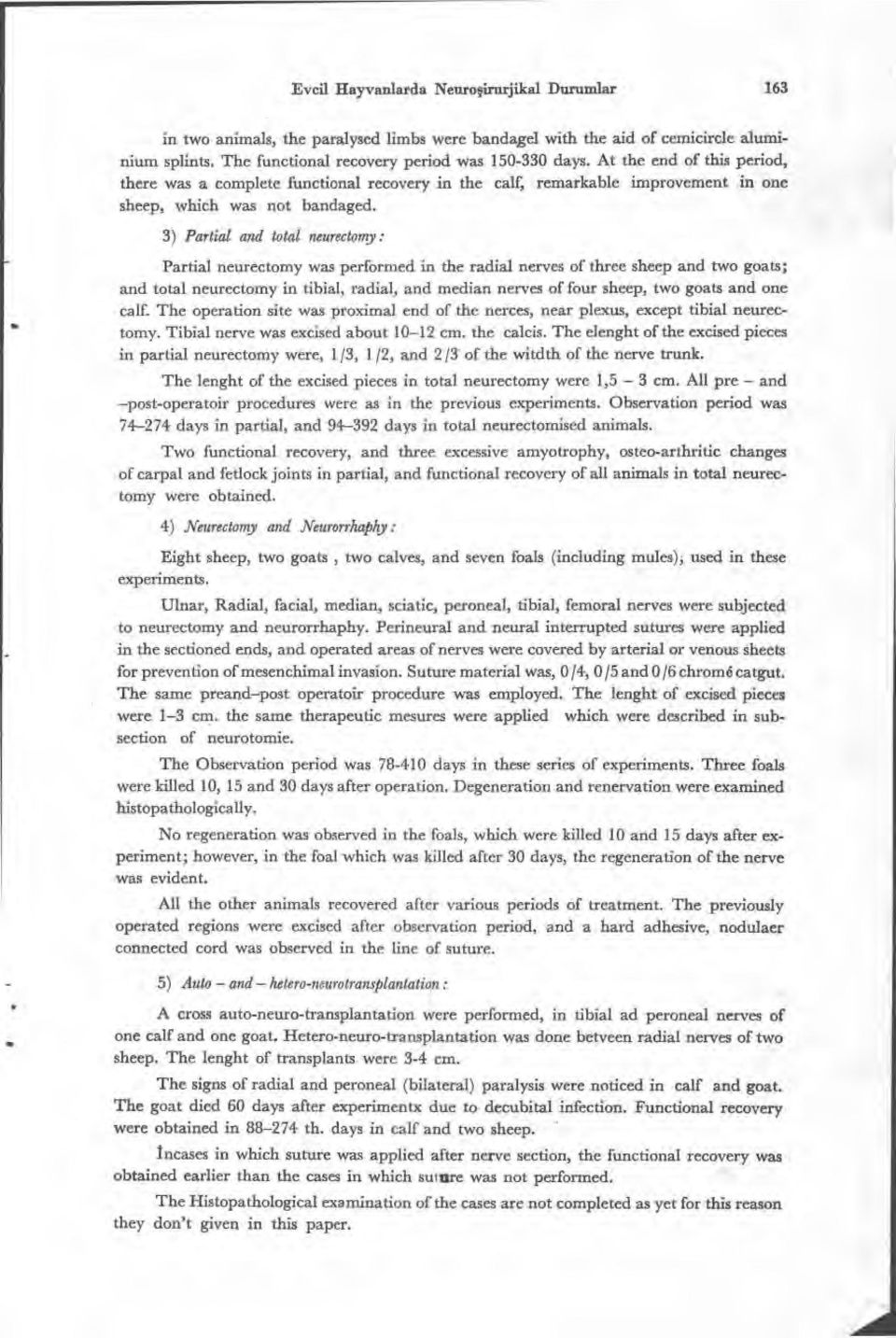 3) Partial and total neurectomy : Partial neurectomy was performed in the radial nerves of three sheep and two goats; and total neurectomy in tibial, radial, and median nerves of four sheep, two