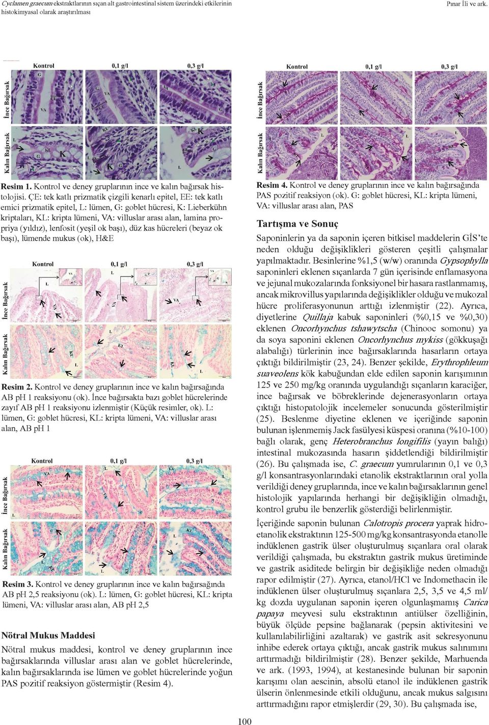 propriya (yıldız), lenfosit (yeşil ok başı), düz kas hücreleri (beyaz ok başı), lümende mukus (ok), H&E Resim 2. Kontrol ve deney gruplarının ince ve kalın bağırsağında AB ph 1 reaksiyonu (ok).