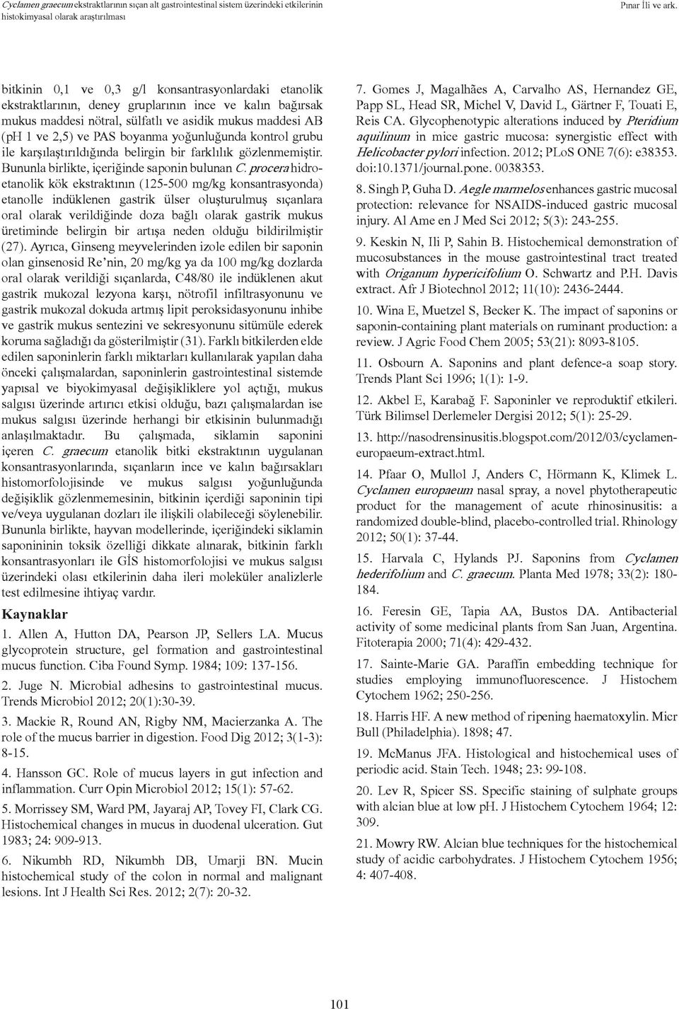 procera hidroetanolik kök ekstraktının (125-500 mg/kg konsantrasyonda) etanolle indüklenen gastrik ülser oluşturulmuş sıçanlara oral olarak verildiğinde doza bağlı olarak gastrik mukus üretiminde