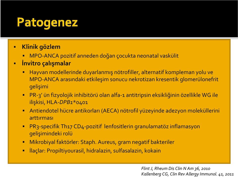 hücre antikorları (AECA) nötrofil yüzeyinde adezyon moleküllerini arttırması PR3 specifik Th17 CD4 pozitif lenfositlerin granulamatöz inflamasyon gelişimindeki rolü Mikrobiyal