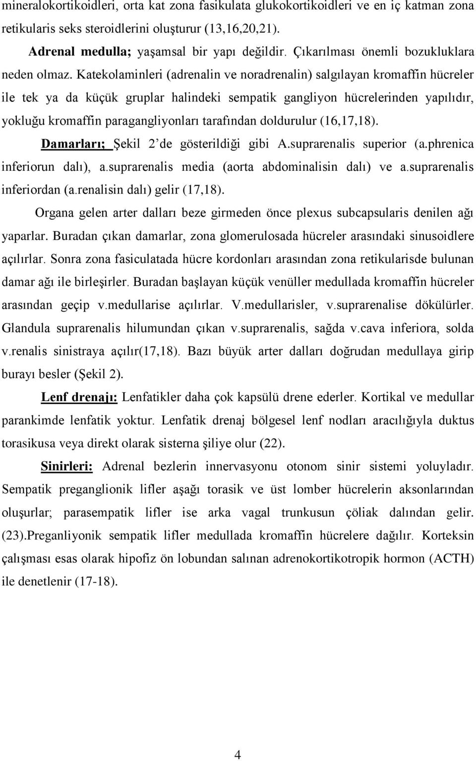 Katekolaminleri (adrenalin ve noradrenalin) salgılayan kromaffin hücreler ile tek ya da küçük gruplar halindeki sempatik gangliyon hücrelerinden yapılıdır, yokluğu kromaffin paragangliyonları