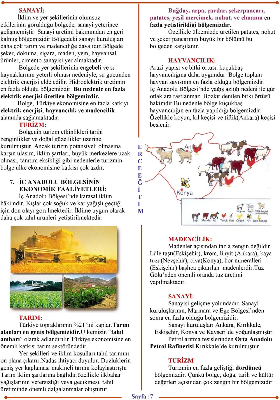 ölgede yer şekillerinin engebeli ve su kaynaklarının yeterli olması nedeniyle, su gücünden elektrik enerjisi elde edilir. Hidroelektrik üretimin en fazla olduğu bölgemizdir.