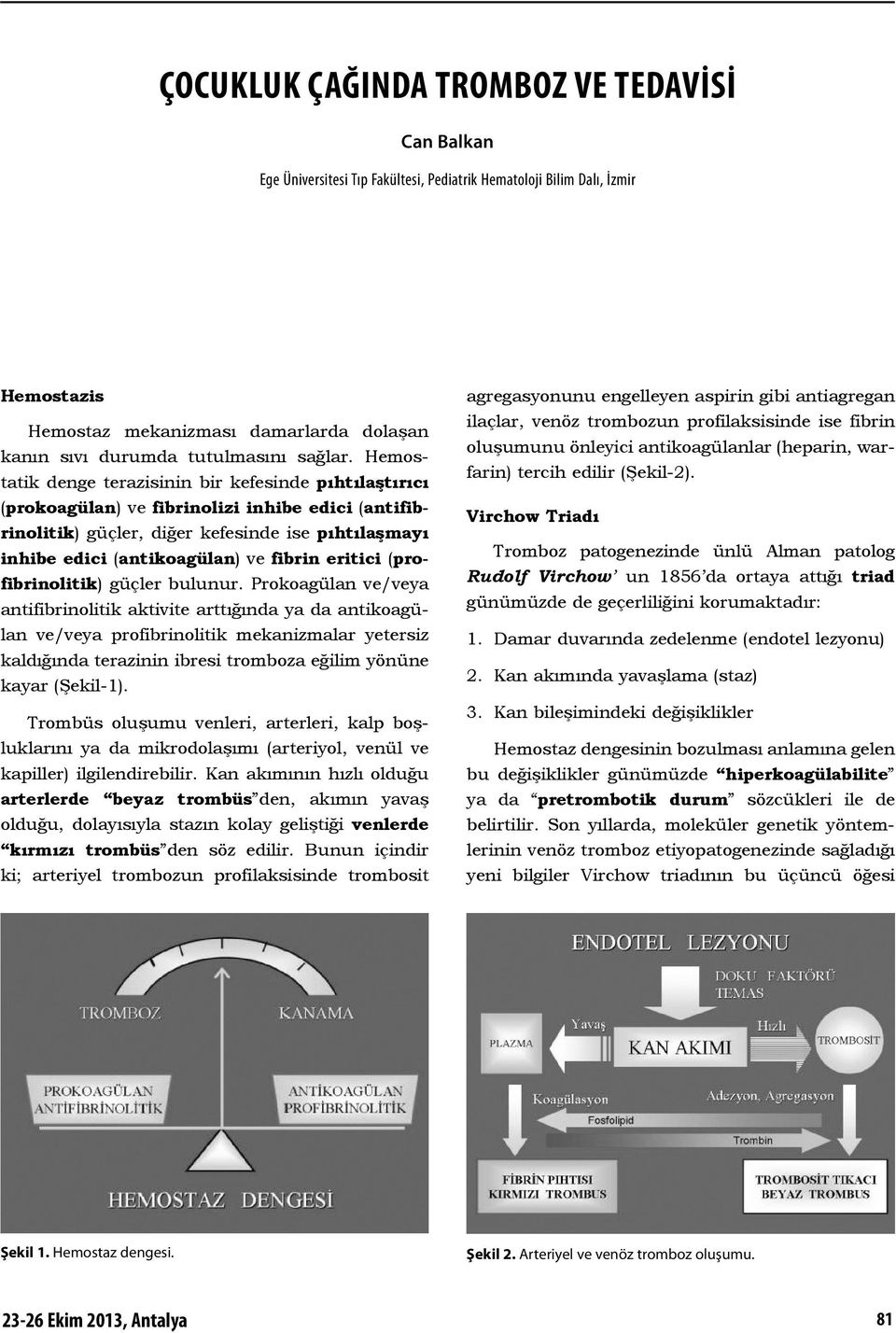 Hemostatik denge terazisinin bir kefesinde pıhtılaştırıcı (prokoagülan) ve fibrinolizi inhibe edici (antifibrinolitik) güçler, diğer kefesinde ise pıhtılaşmayı inhibe edici (antikoagülan) ve fibrin