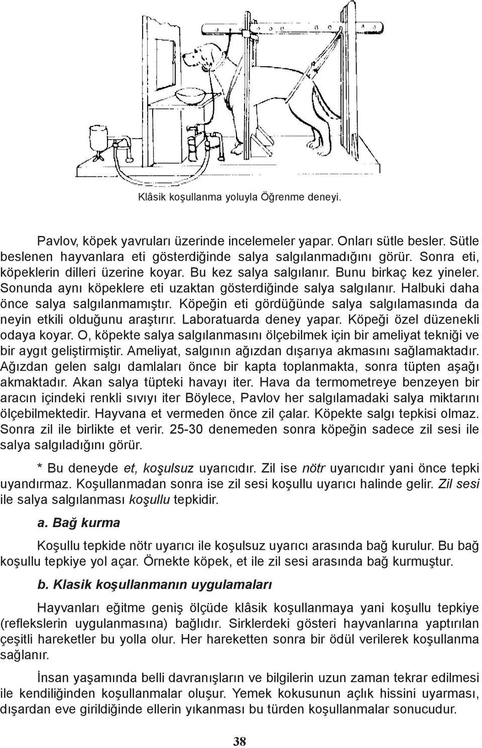 Halbuki daha önce salya salgýlanmamýþtýr. Köpeðin eti gördüðünde salya salgýlamasýnda da neyin etkili olduðunu araþtýrýr. Laboratuarda deney yapar. Köpeði özel düzenekli odaya koyar.