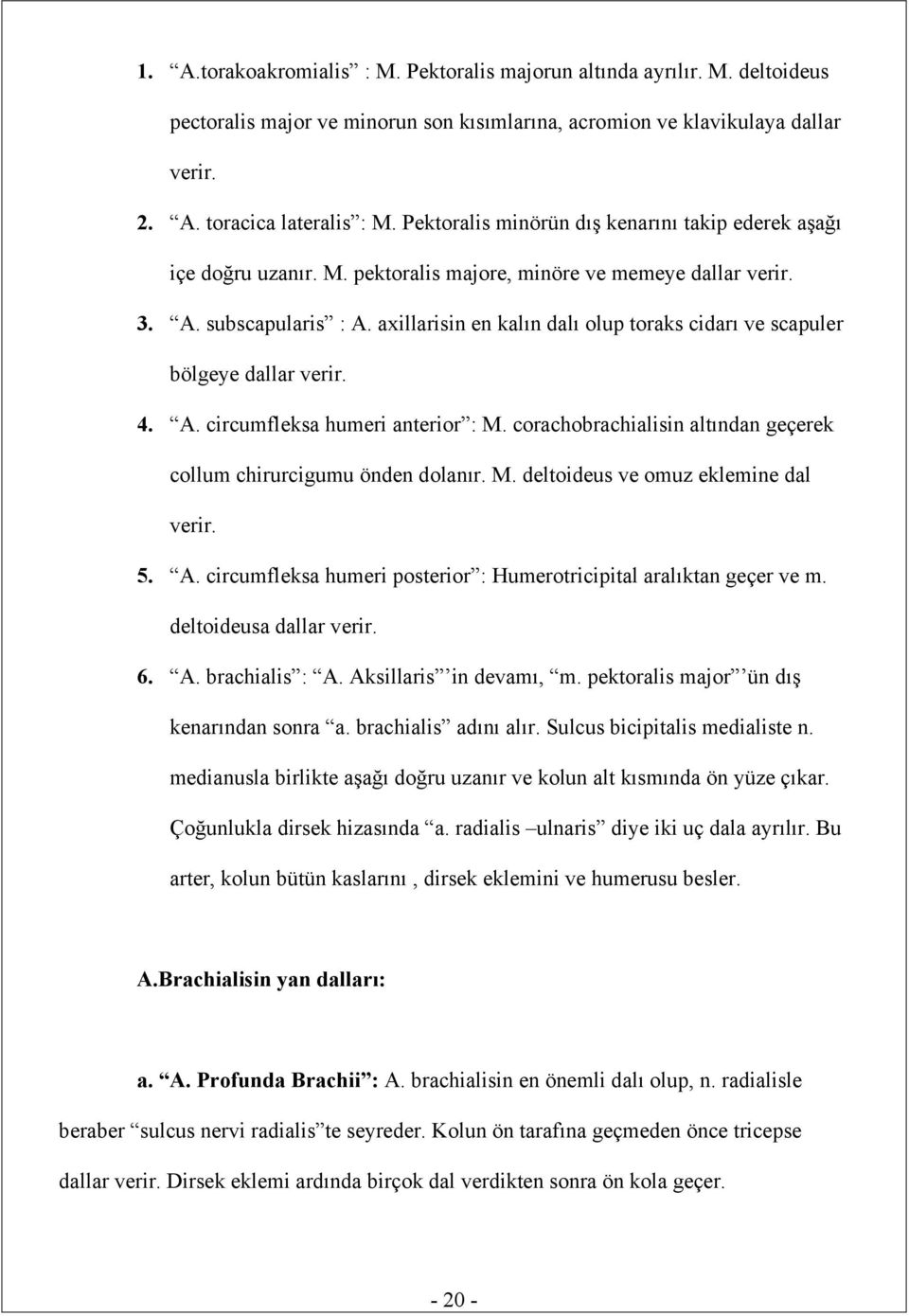 axillarisin en kalın dalı olup toraks cidarı ve scapuler bölgeye dallar verir. 4. A. circumfleksa humeri anterior : M. corachobrachialisin altından geçerek collum chirurcigumu önden dolanır. M. deltoideus ve omuz eklemine dal verir.