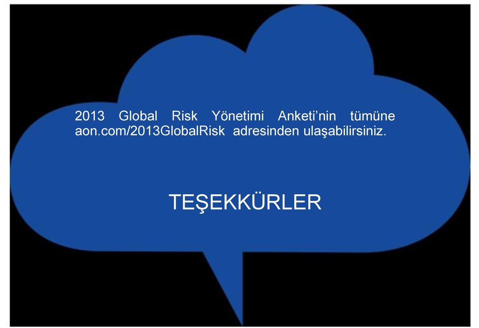 com/2013globalrisk