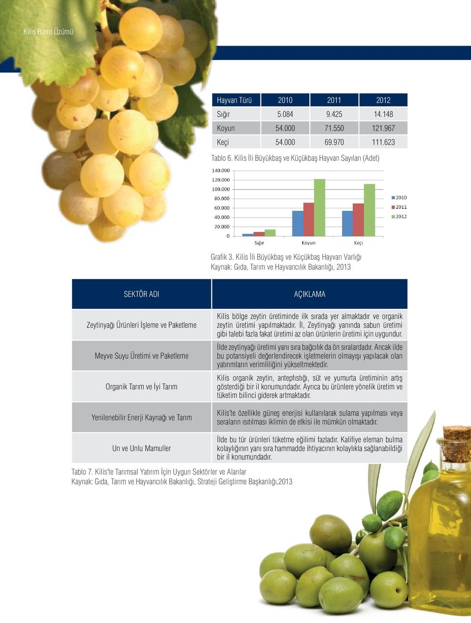 İyi Tarım Yenilenebilir Enerji Kaynağı ve Tarım Un ve Unlu Mamuller AÇIKLAMA Kilis bölge zeytin üretiminde ilk sırada yer almaktadır ve organik zeytin üretimi yapılmaktadır.