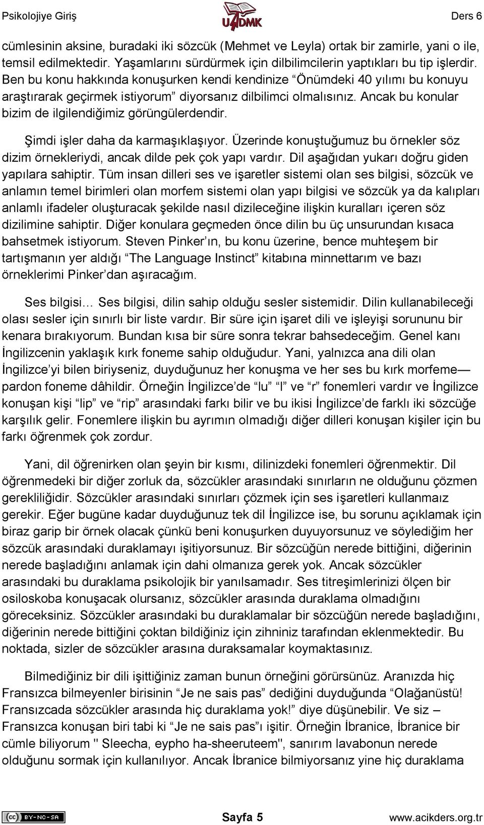 Ancak bu konular bizim de ilgilendiğimiz görüngülerdendir. Şimdi işler daha da karmaşıklaşıyor. Üzerinde konuştuğumuz bu örnekler söz dizim örnekleriydi, ancak dilde pek çok yapı vardır.