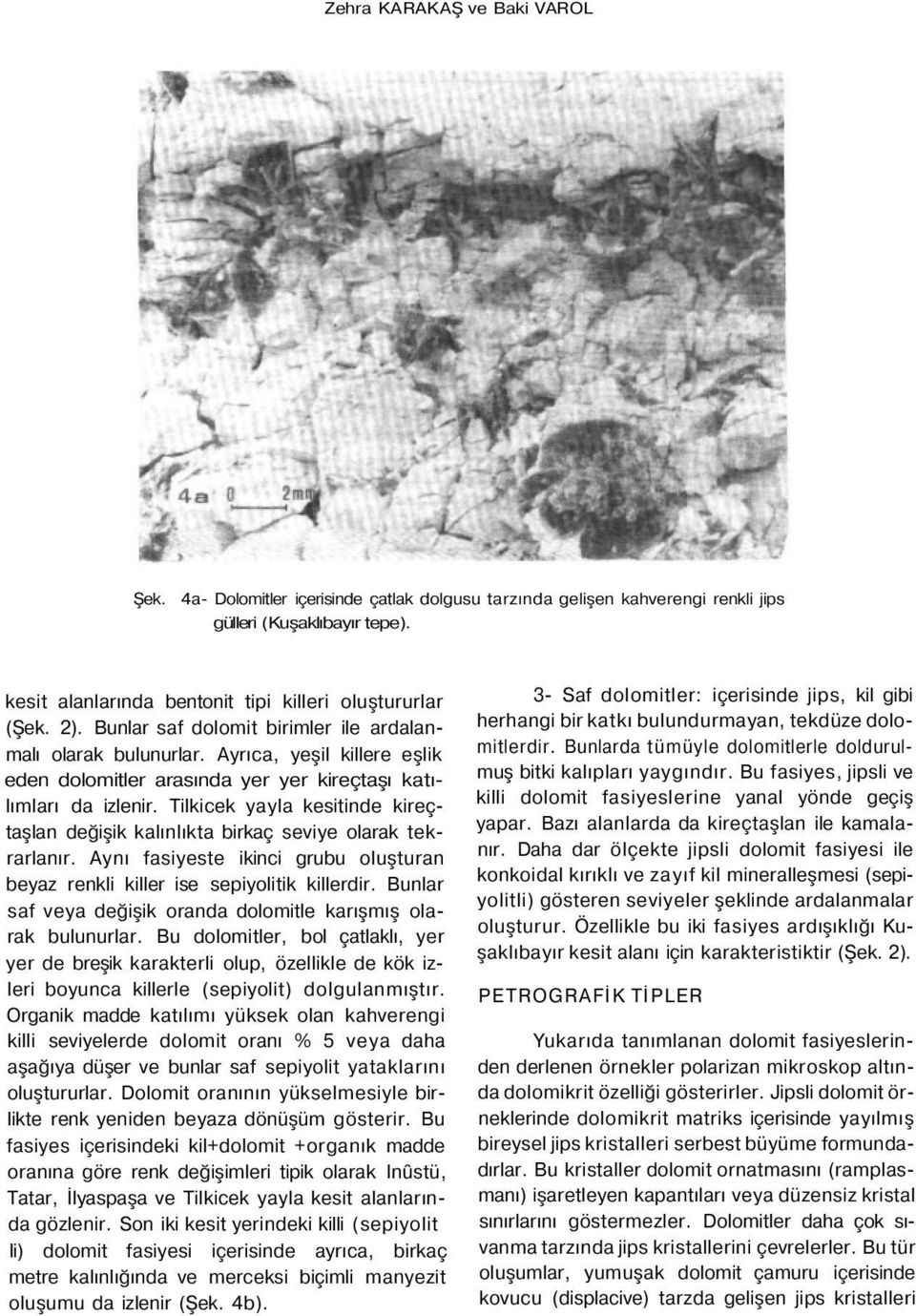 Ayrıca, yeşil killere eşlik eden dolomitler arasında yer yer kireçtaşı katılımları da izlenir. Tilkicek yayla kesitinde kireçtaşlan değişik kalınlıkta birkaç seviye olarak tekrarlanır.