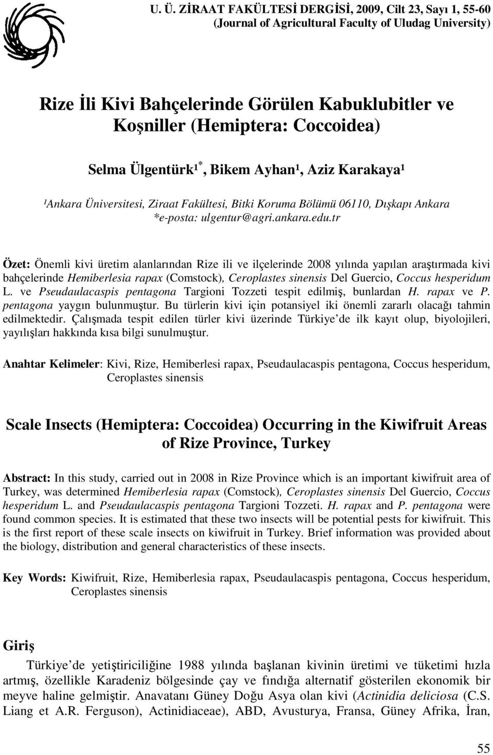 tr Özet: Önemli kivi üretim alanlarından Rize ili ve ilçelerinde 2008 yılında yapılan araştırmada kivi bahçelerinde Hemiberlesia rapax (Comstock), Ceroplastes sinensis Del Guercio, Coccus hesperidum