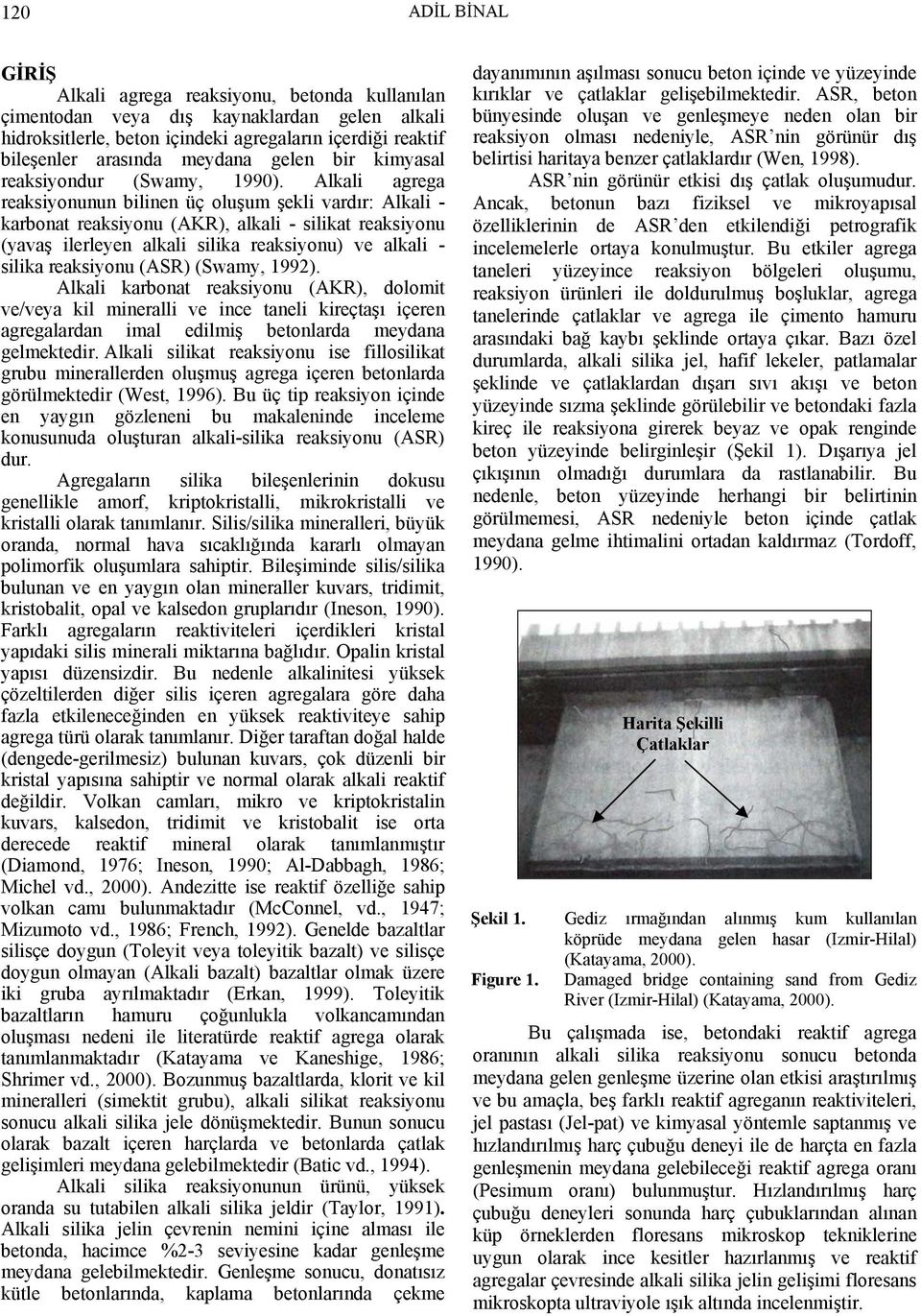 Alkali agrega reaksiyonunun bilinen üç oluşum şekli vardır: Alkali - karbonat reaksiyonu (AKR), alkali - silikat reaksiyonu (yavaş ilerleyen alkali silika reaksiyonu) ve alkali - silika reaksiyonu