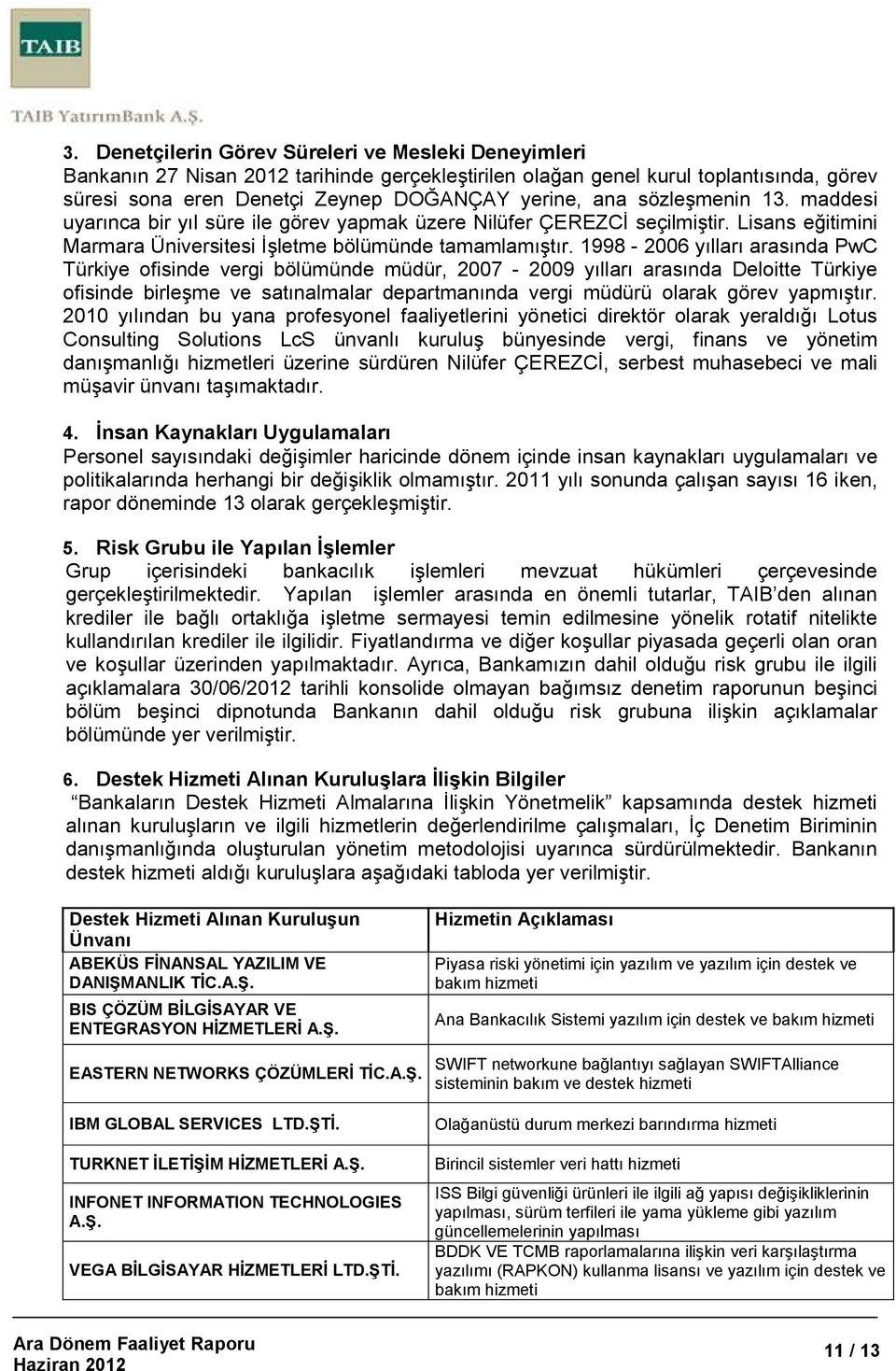 1998-2006 yılları arasında PwC Türkiye ofisinde vergi bölümünde müdür, 2007-2009 yılları arasında Deloitte Türkiye ofisinde birleşme ve satınalmalar departmanında vergi müdürü olarak görev yapmıştır.