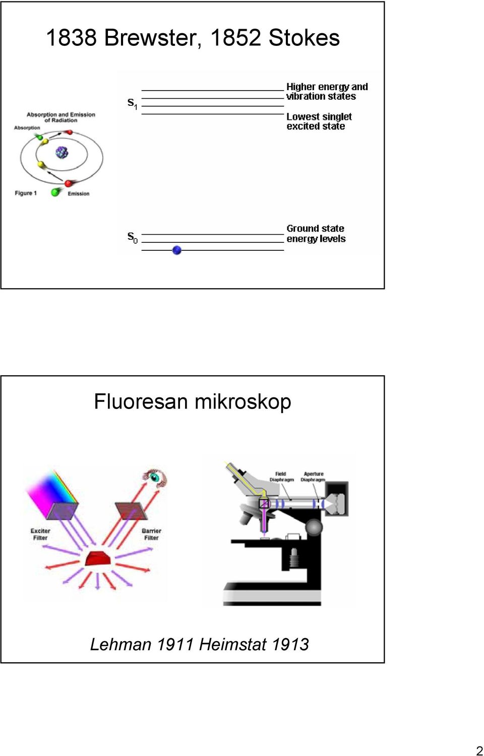 Fluoresan