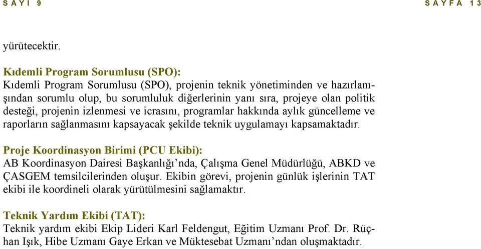 projenin izlenmesi ve icrasını, programlar hakkında aylık güncelleme ve raporların sağlanmasını kapsayacak şekilde teknik uygulamayı kapsamaktadır.