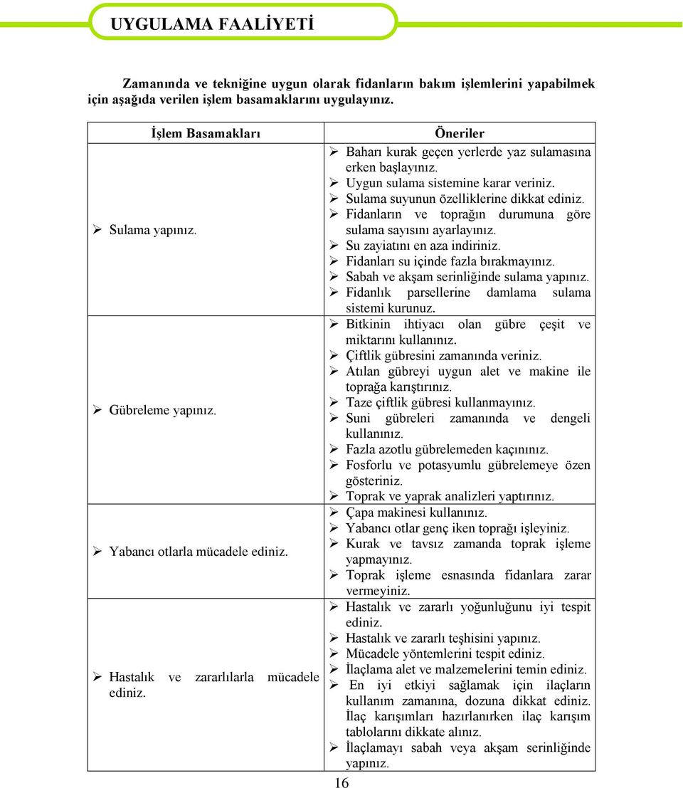 Uygun sulama sistemine karar veriniz. Sulama suyunun özelliklerine dikkat ediniz. Fidanların ve toprağın durumuna göre sulama sayısını ayarlayınız. Su zayiatını en aza indiriniz.