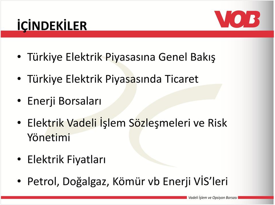 Elektrik Vadeli İşlem Sözleşmeleri ve Risk Yönetimi