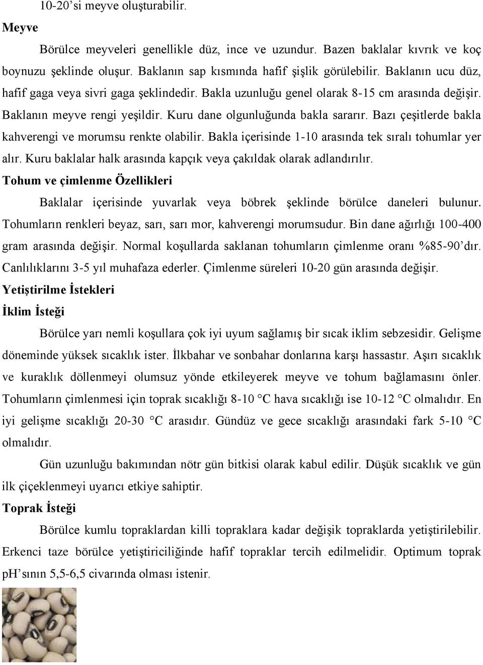 Bazı çeşitlerde bakla kahverengi ve morumsu renkte olabilir. Bakla içerisinde 1-10 arasında tek sıralı tohumlar yer alır. Kuru baklalar halk arasında kapçık veya çakıldak olarak adlandırılır.