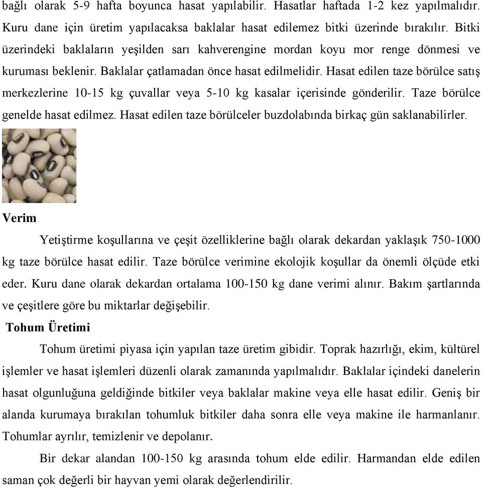 Hasat edilen taze börülce satış merkezlerine 10-15 kg çuvallar veya 5-10 kg kasalar içerisinde gönderilir. Taze börülce genelde hasat edilmez.