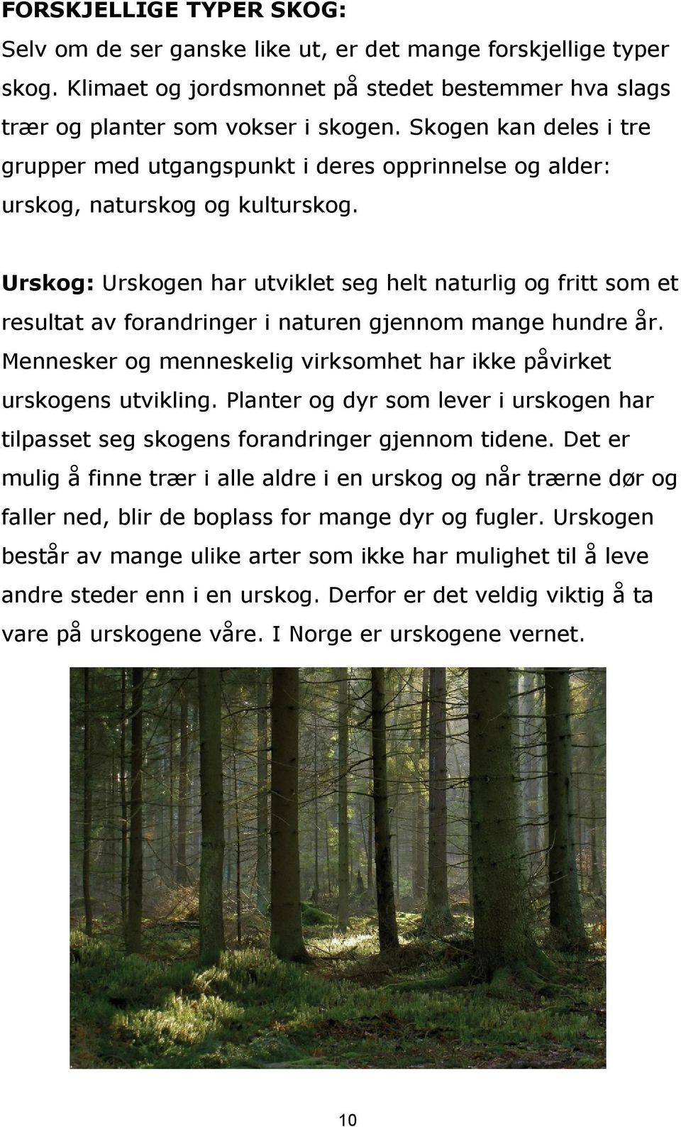 Urskog: Urskogen har utviklet seg helt naturlig og fritt som et resultat av forandringer i naturen gjennom mange hundre år. Mennesker og menneskelig virksomhet har ikke påvirket urskogens utvikling.