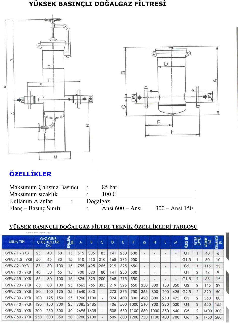 Alanları : Doğalgaz Flanş Basınç Sınıfı : Ansi 600 Ansi 300