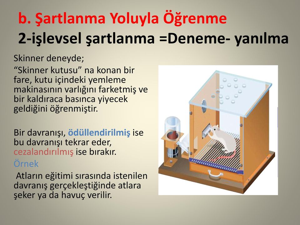 geldiğini öğrenmiştir.