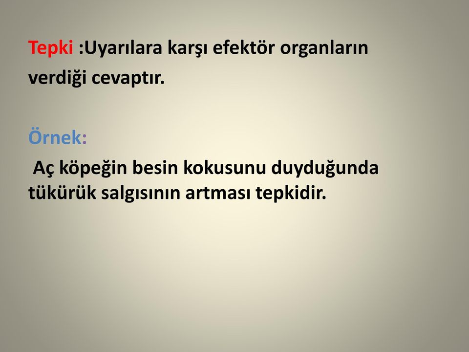 Örnek: Aç köpeğin besin kokusunu