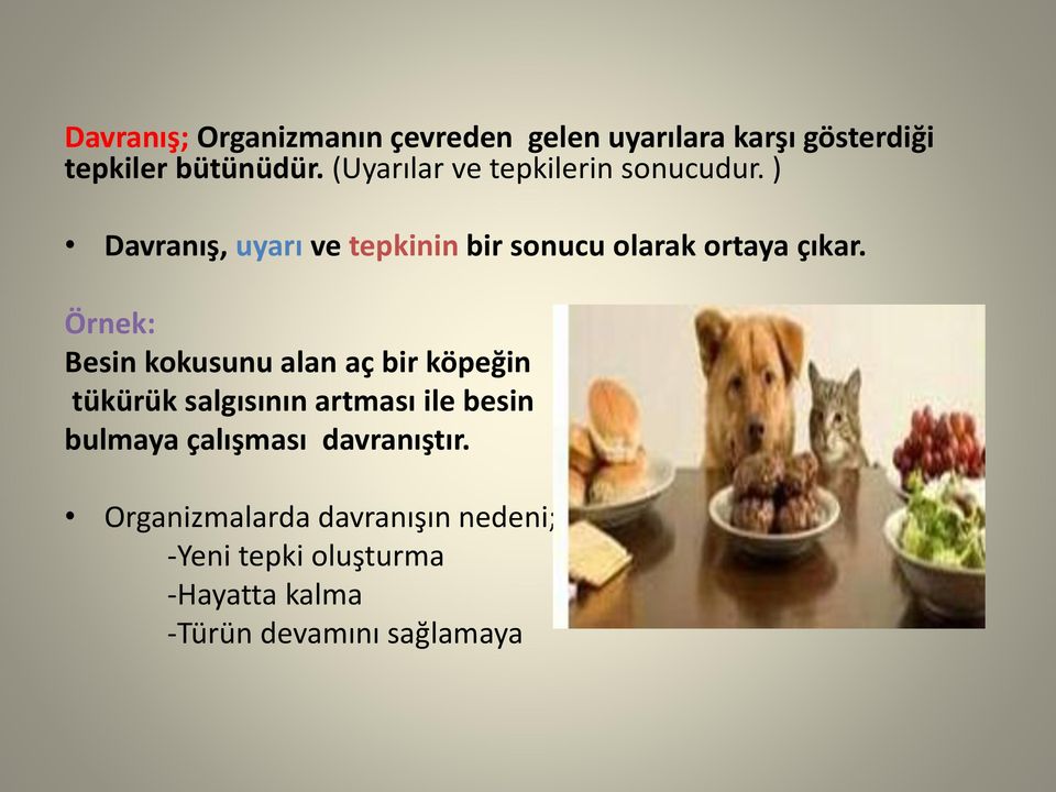 Örnek: Besin kokusunu alan aç bir köpeğin tükürük salgısının artması ile besin bulmaya çalışması