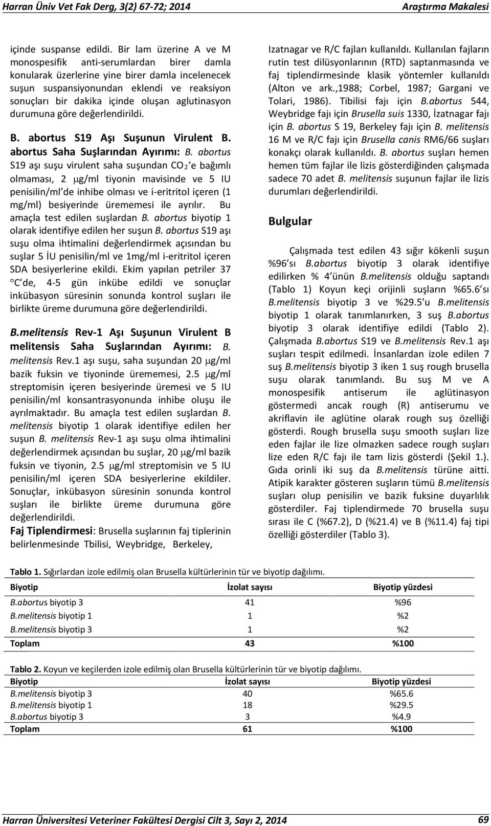 aglutinasyon durumuna göre B. abortus S19 Aşı Suşunun Virulent B. abortus Saha Suşlarından Ayırımı: B.