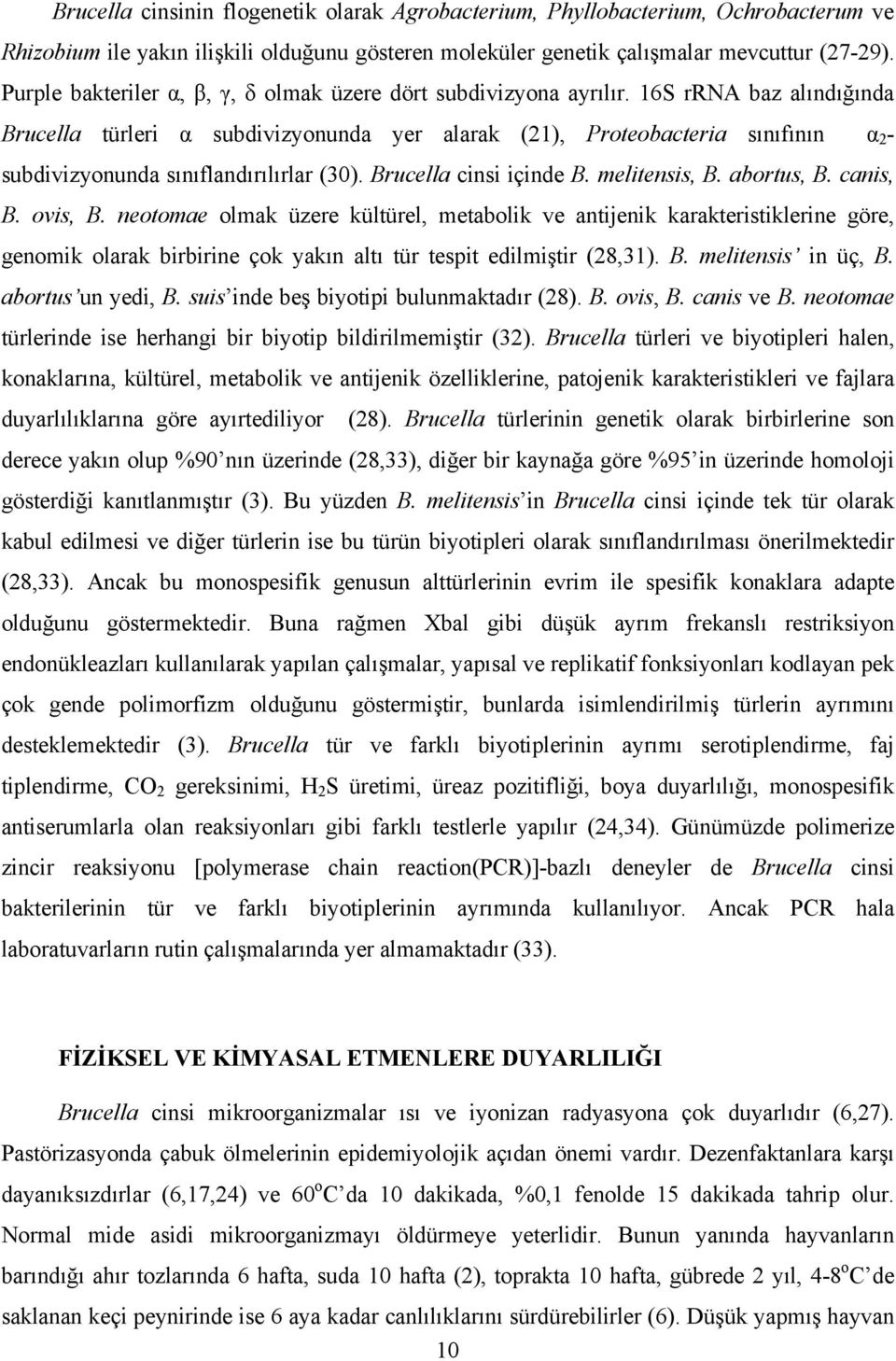 16S rrna baz alındığında Brucella türleri α subdivizyonunda yer alarak (21), Proteobacteria sınıfının α 2 - subdivizyonunda sınıflandırılırlar (30). Brucella cinsi içinde B. melitensis, B. abortus, B.